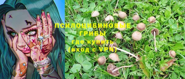 эйфоретик Нея